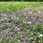 Late-season hail hits Prairies