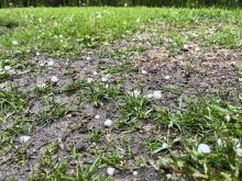 Late-season hail hits Prairies
