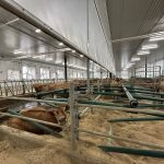 Managing dairy barn cross ventilation with the right baffles