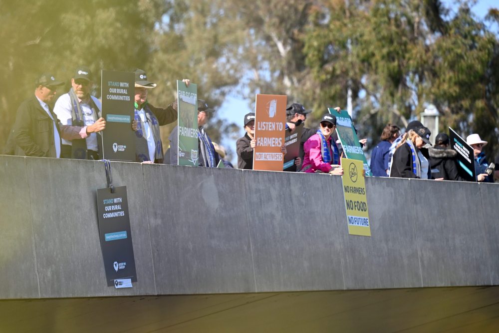 Protesters hold up signs during a National farmers rally outside Parliament in Canberra, Tuesday, September 10, 2024. (AAP Image/Lukas Coch) 
