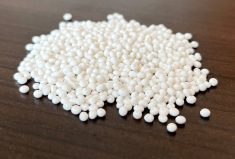 Struvite fertilizer from Winnipeg sewers