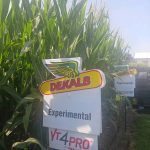 Plot sign from COFS 2024. Photo: Gord Gilmour
