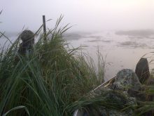 Getting ready for hunting: Here’s what you need to know for 2024 in Manitoba