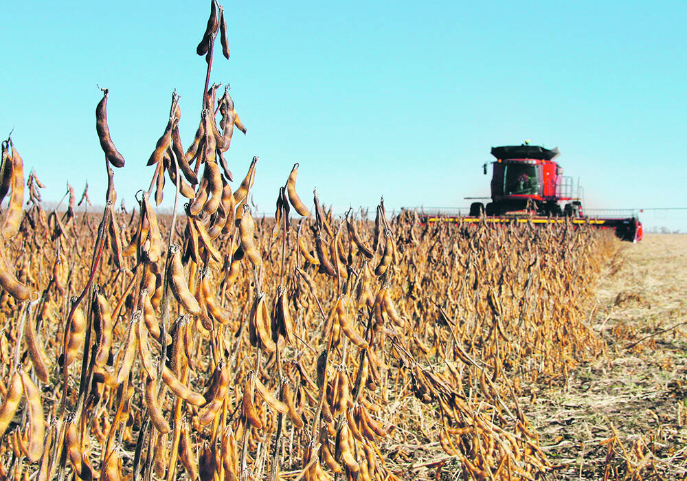 Soybean harvest