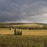 (Photo courtesy Canada Beef Inc.)
