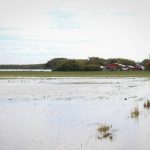 Heavy rainfall in a field near Randolph, Man. on Sept. 19. 