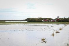 Heavy rainfall in a field near Randolph, Man. on Sept. 19.