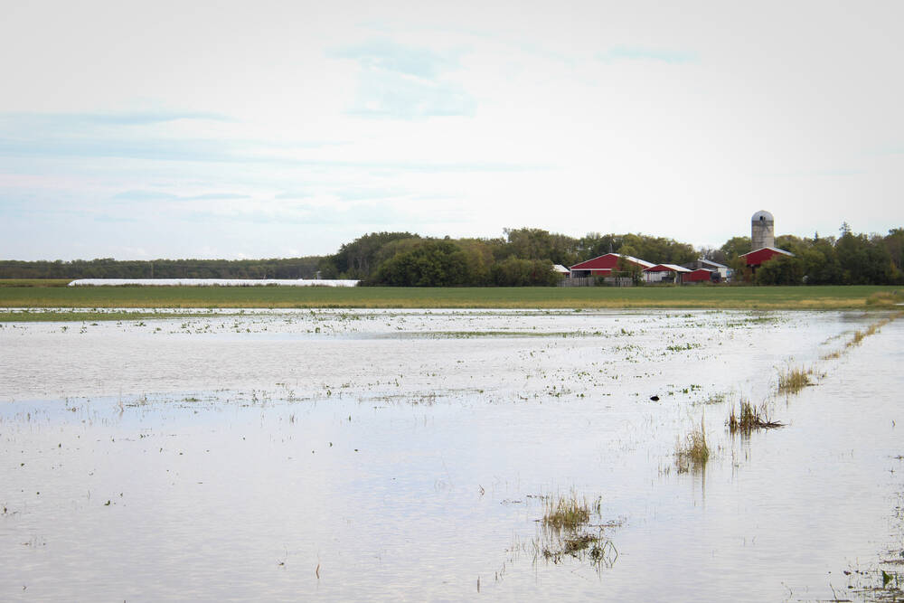 Heavy rainfall in a field near Randolph, Man. on Sept. 19. 