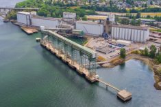 The Cascadia grain terminal at the Port of Vancouver. (Viterra.ca)
