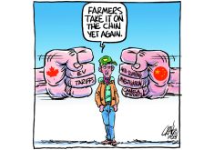 China threat on canola unpalatable, not surprising