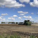Soybean harvest in Morden/Winkler area. Greg Berg
