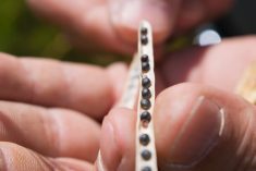 (TDTT/iStock/Getty Images)