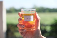 Implementation of higher biodiesel mandates in Indonesia, the world&#8217;s biggest palm oil producer, is likely to tighten supplies of the vegetable oil, a leading industry analyst said on Tuesday. Photo: Natt Boonyatecha/iStock/Getty Images
