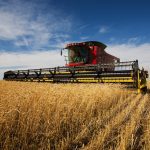 (SteveMcsweeny/iStock/Getty Images)
