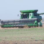 Manitoba yields exceed expectations