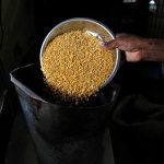 FILE PHOTO: A man weighs lentils inside his shop in the southern Indian city of Chennai July 9, 2013. REUTERS/Babu/File Photo
