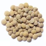 Larger stocks limiting price outlook for lentils/peas