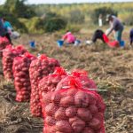 (RGtimeline/iStock/Getty Images)
