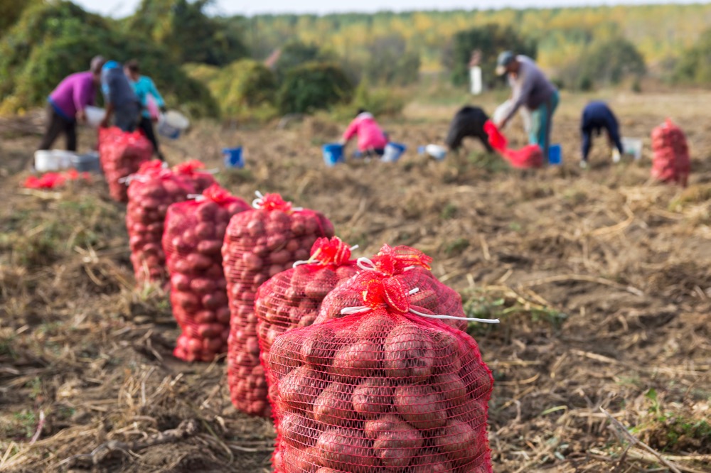 (RGtimeline/iStock/Getty Images)
