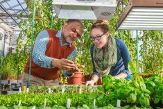 Assiniboine College greenhouse gets boost