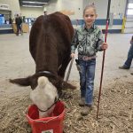 Alayna Bieganski of Carberry, 8, and her cow Franny at Manitoba AG EX on Oct. 26 at the Keystone Centre in Brandon.