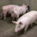 Photo: Geralyn Wichers
