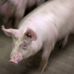 Photo: Geralyn Wichers
