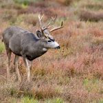 Photo: kahj19/iStock/Getty Images Plus
