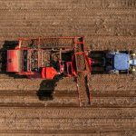 Photo: Onfokus/iStock/Getty Images
