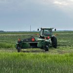 Hay is cut west of Holland July 8. Many first cuts were delayed by rain but final harvest numbers were good.