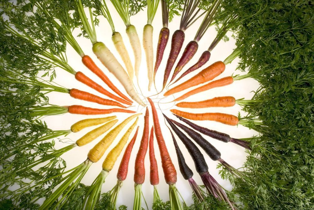 (Stephen Ausmus photo courtesy ARS/USDA)
