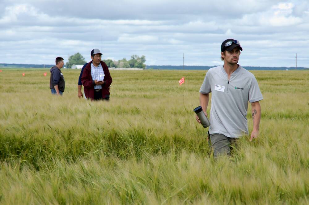 Variety trials put malting barley genetics to the test at field scale on the Elder farm near Wawanesa in 2022.
