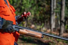 Crown land hunting draws debate with AMM