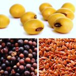 VIDEO: How to use Seed Manitoba to choose your seed variety in 2025