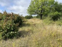 A Neepawa family partnered with the Nature Conservancy 
of Canada to protect the 178-hectare Langford Escarpment.