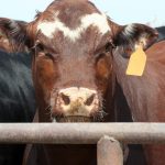 Photo: jjmiller11/iStock/Getty Images Plus
