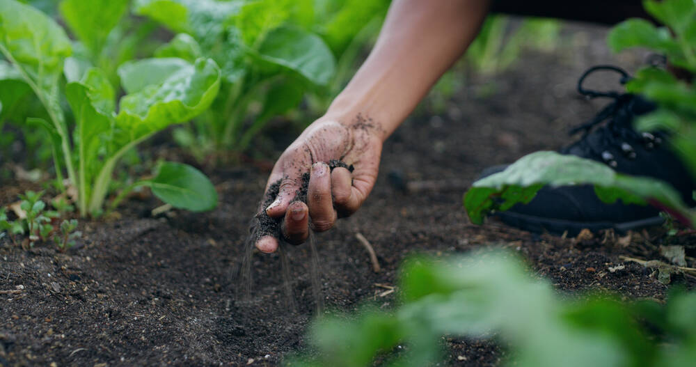 Keeping soil health improvement flexible