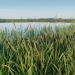 Bayer Crop Science Canada says the Pest Management Regulatory Agency did not exclude water quality data at the request of the crop protection industry.