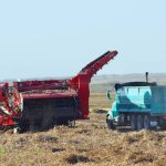 Great Tastes of Manitoba highlights how locally produced food gets from field to plate.
