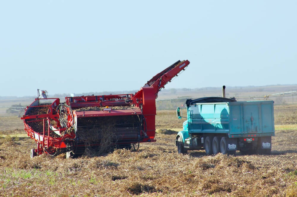 Great Tastes of Manitoba highlights how locally produced food gets from field to plate.