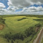 Photo: Onfokus/iStock/Getty Images
