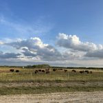 NCIAF and NAAAN to collaborate to advance Indigenous agriculture