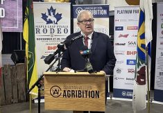 Federal Agriculture Minister Lawrence MacAulay speaks to media at Canadian Western Agribition on Nov. 25, 2025. PHOTO: KAREN BRIERE
