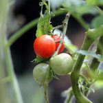 File photo (PinkBattousai/iStock/Getty Images)
