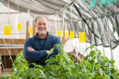 Nick Savidov is look to validate if and how canola byproduct could nourish farmed fish.