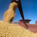 (Photo courtesy United Soybean Board)
