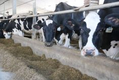 Dairy has been among the sectors pushing hard for Bill C-282.