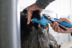 Tissue sampling units (TSUs) are usually designed to tag the animal while taking the sample. 