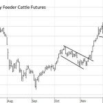 The May feeder cattle futures have developed a pattern. The market rallies and then consolidates for nearly a month before making another leg higher. This pattern is expected to continue.	SOURCE: DTNPROPHETX