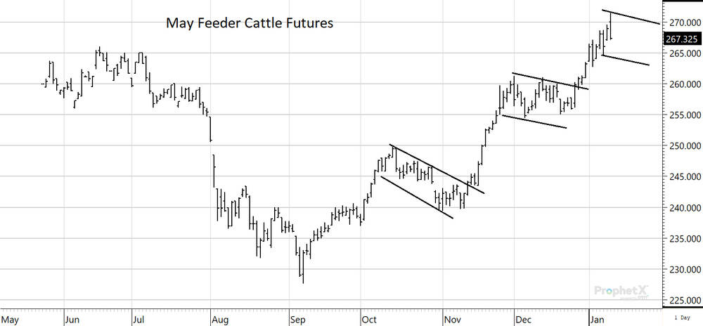 The May feeder cattle futures have developed a pattern. The market rallies and then consolidates for nearly a month before making another leg higher. This pattern is expected to continue.	SOURCE: DTNPROPHETX
